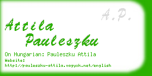 attila pauleszku business card